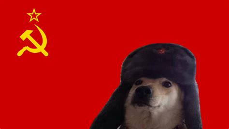 Communist Doge Admires Flag : pics