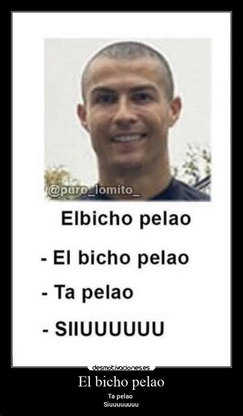 El bicho pelao | Desmotivaciones