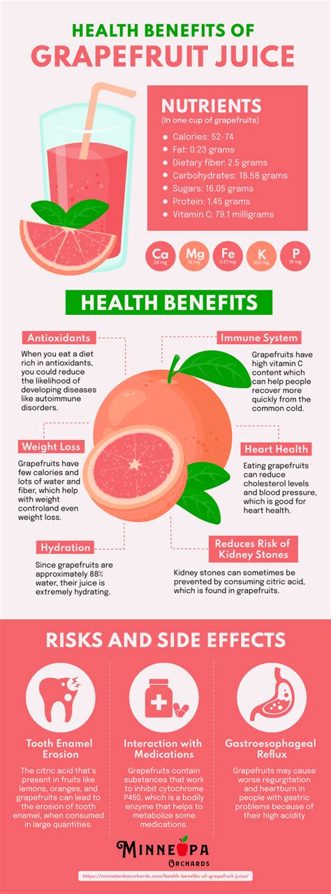 The Amazing Health Benefits of Grapefruit Juice - Minneopa Orchards