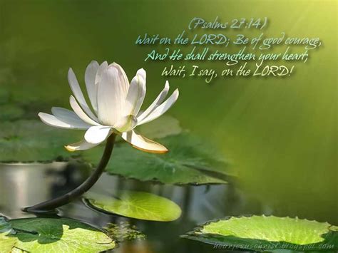 Christian Wallpapers: Bible Verse Wallpaper - Psalms 27:14