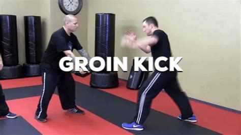 Karate Groin Kick