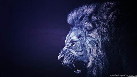 Lion Wallpapers 656 Backgrounds Animal Desktop Background