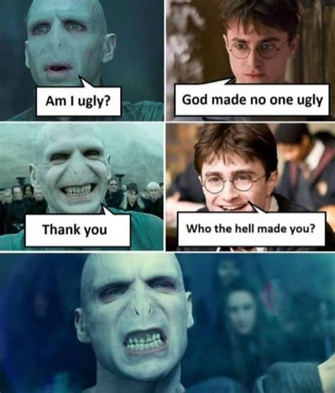 Funny Voldemort Meme | Harry Potter Amino