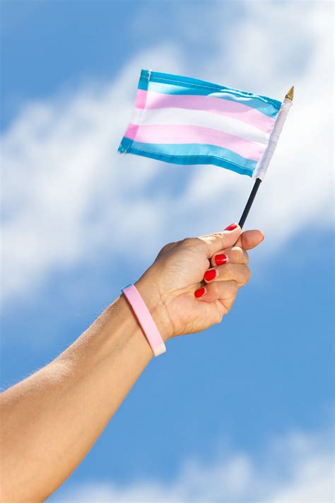 Transgender pride flag will fly across Michigan Friday