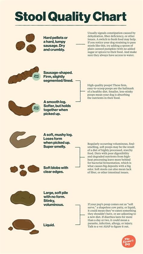 Stool Quality Chart For Dog Poop