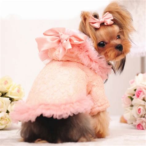 Girl Dog Clothes Winter Female Dog Coat Pink Cute Lace Fleece Lined ...