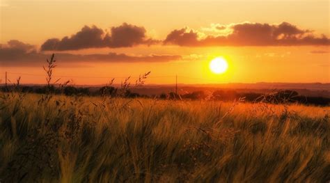 beautiful, Nature, Grass, Sunset, Field, Sky Wallpapers HD / Desktop ...