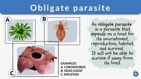 Obligate parasite - Definition and Examples - Biology Online Dictionary