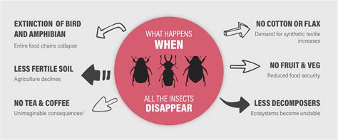 IoT in farming prevents insect population decline