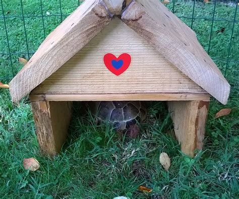 Home Made Turtle House : 6 Steps (with Pictures) - Instructables