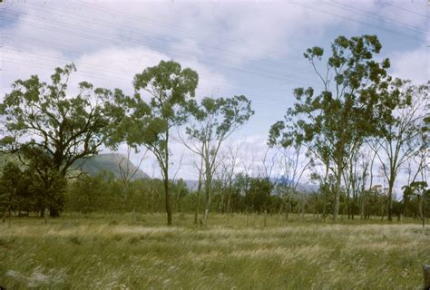 Bluff | Queensland Places