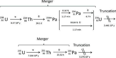 The first decays of the decay chain of uranium-235 and 238. The doses ...