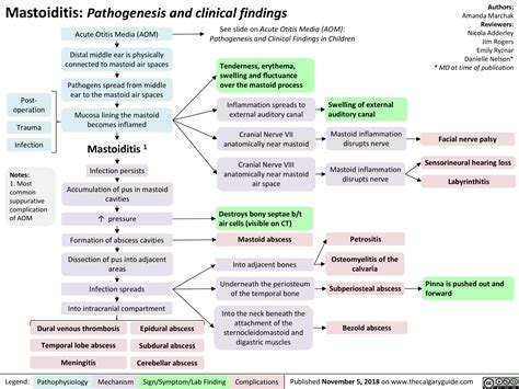 Mastoiditis: Pathogenesis and clinical findings | Calgary Guide