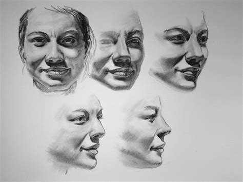 Drawing the Human Face: Tips for Beginner Artists - FeltMagnet