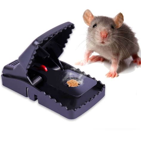 Mouse Rat Traps High Sensitive Snap Big Plastic Mouse Trap Rodent ...