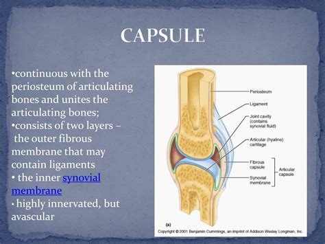 PPT - SYNOVIAL JOINT PowerPoint Presentation, free download - ID:5300719