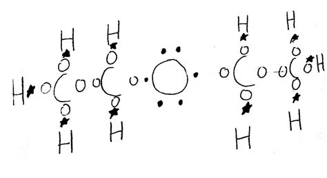 Lewis Structure - The Diethyl Ether Molecule