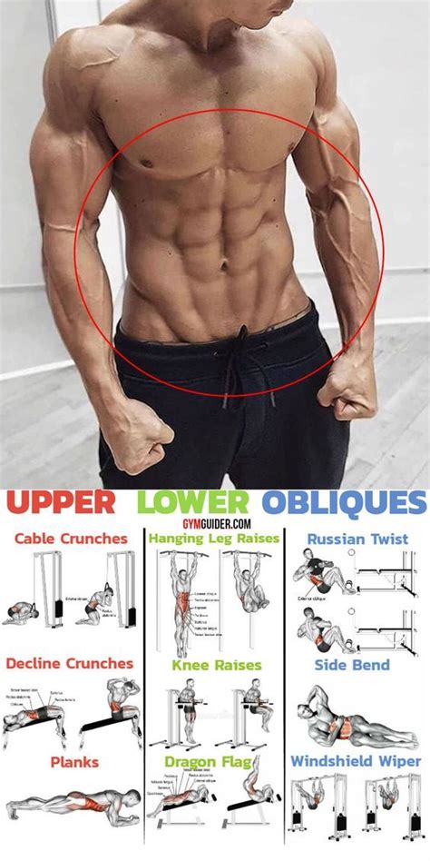 Upper Lower Obliques | Gym workout chart, Abs and cardio workout, Abs ...