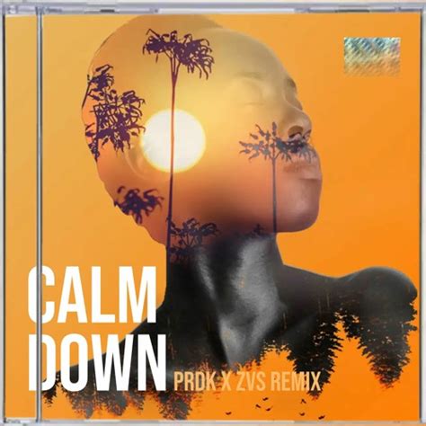 Stream Rema, Selena Gomez - Calm Down (PRDK X ZVS Remix) by PRDK ...