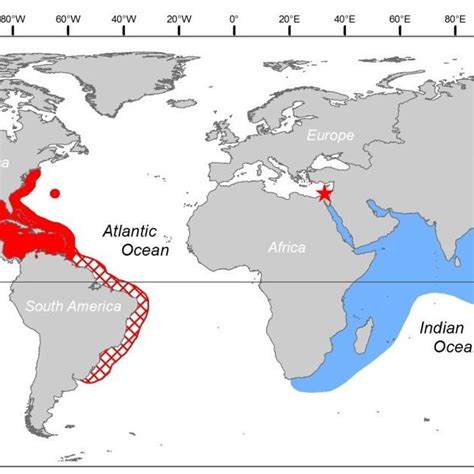 Lionfish Habitat Map