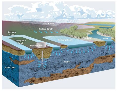 Groundwater Diagram Labeled