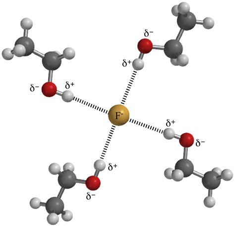 [DIAGRAM] Labeled Diagram Of Hydrogen Bonding - MYDIAGRAM.ONLINE