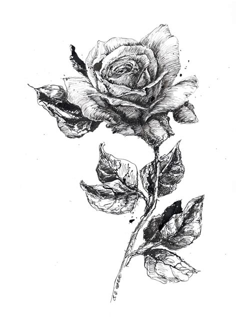 Black and White Rose Drawing Pen and Ink Sketch Flowers - Etsy