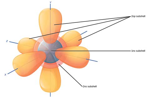 Neon Orbital Diagram