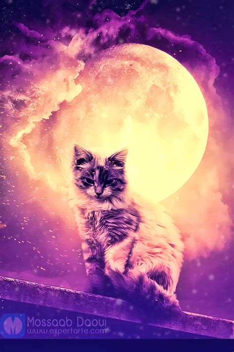 Cat and the Moon by mossaabdaoui on DeviantArt