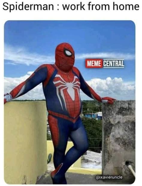 20 Spider-Man Gaming Memes to Complete Your Multiverse - Funny Gallery ...