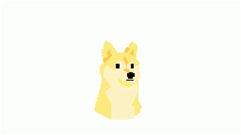 Pixilart - doge animated by the420MlgDogePr