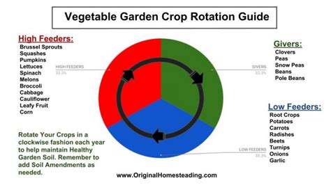 Crop Rotation - GROWING AMBITION