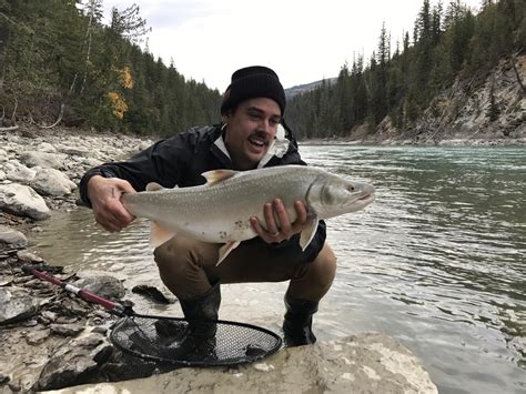 More Bull Trout Fishing : r/Fishing