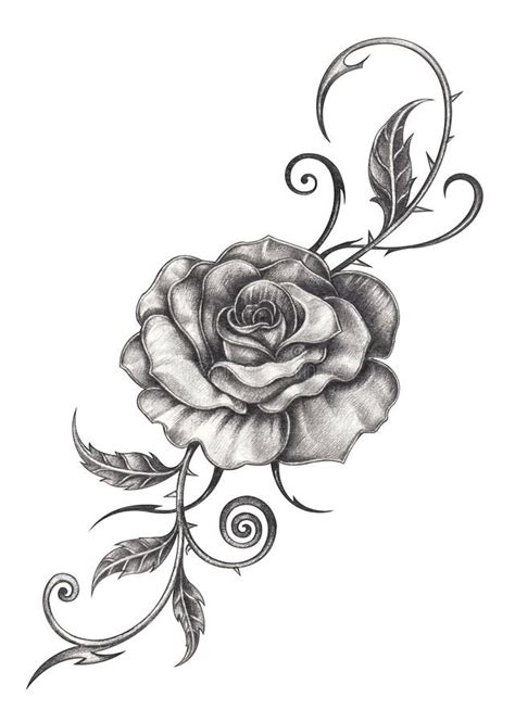 Art Flower Rose Tattoo. stock illustration. Illustration of leaf ...