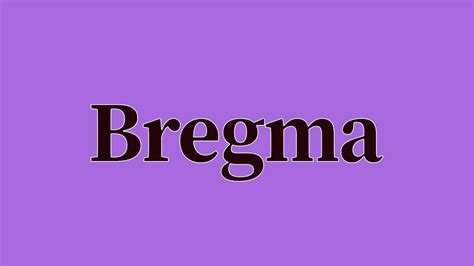 Bregma Pronunciation and Meaning - YouTube