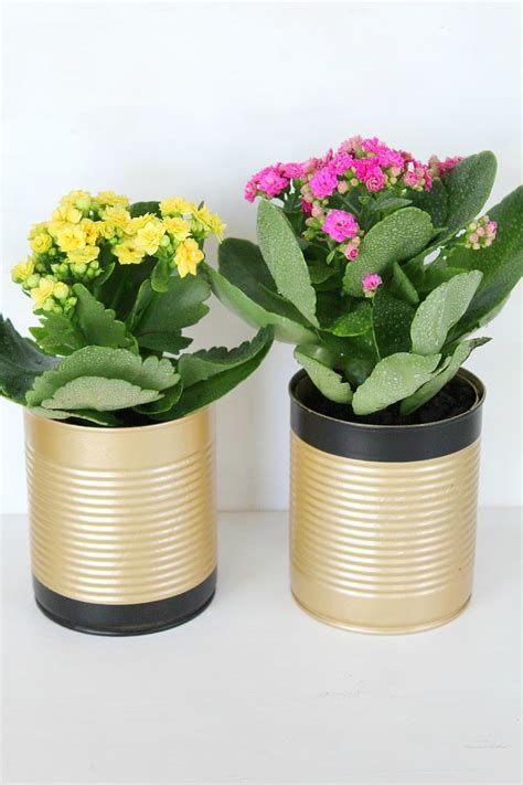 How to make tin can flower pots