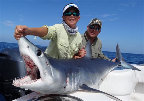 Shark Fishing in Key West Florida with Delph Fishing Charters