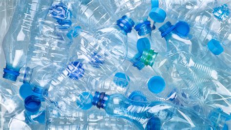 Are Plastic Water Bottles Safe For Dogs