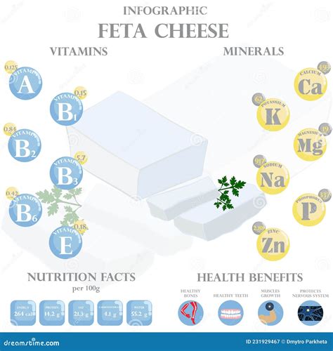 Feta Cheese Nutrition Facts And Health Benefits Infographic Cartoon ...