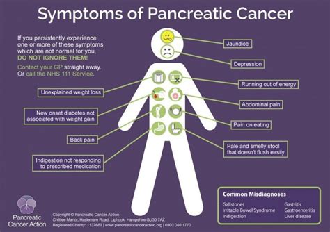 Scientists Reverse the Process behind Pancreatic Cancer