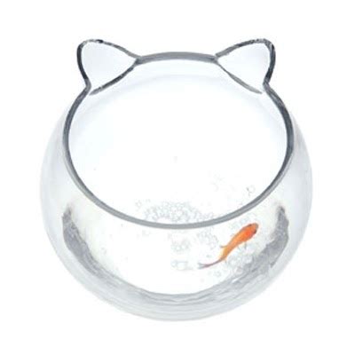 Catsparella: Cat Fish Bowl