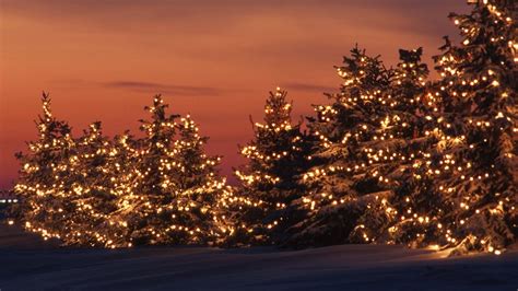 Download Illuminate your holiday season with a festive display of gold ...