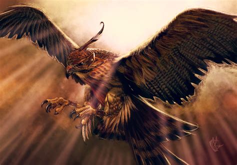 Trained Hawk by KhristianDeMedich on DeviantArt