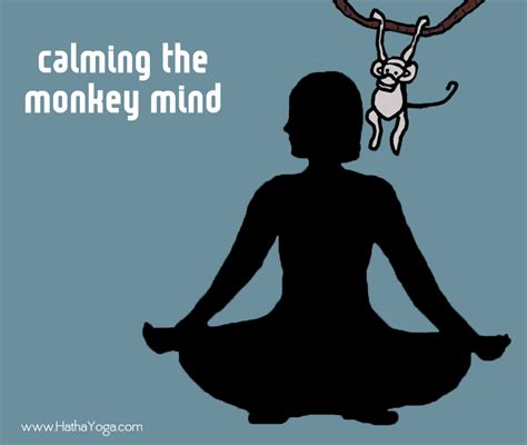 Meditation made easy - calming the monkey mind - HathaYoga.com