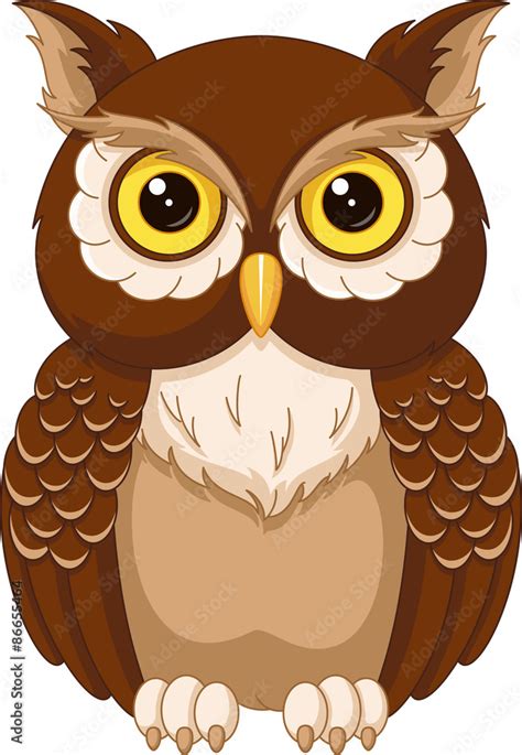 Owl Images Color