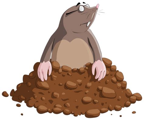 Mole Cartoon PNG Clipart Image | Cartoons png, Cartoon mole, Free clip art