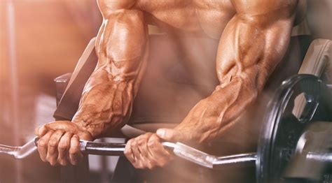 9 Exercises for Building Bigger, More Ripped Forearms | Muscle & Fitness