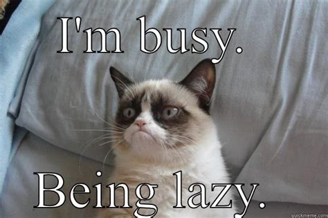 Funny Lazy Memes I'm Busy Being Lazy | QuotesBae