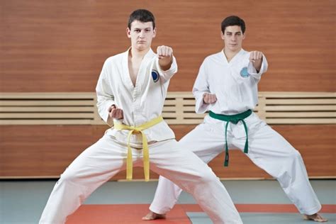 Karate vs. Taekwondo: What Is The Difference? - Sweet Science of Fighting