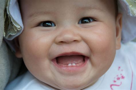 Why humans have baby teeth | A Moment of Science - Indiana Public Media